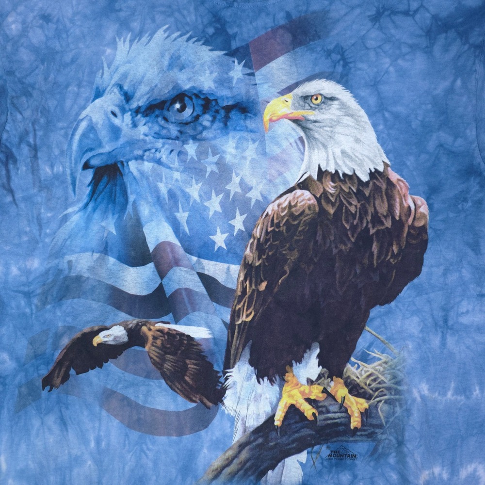 The Mountain Eagle Graphic T-Shirt Mens‎ Large Blue Tie Dye Patriotic 2013 Art